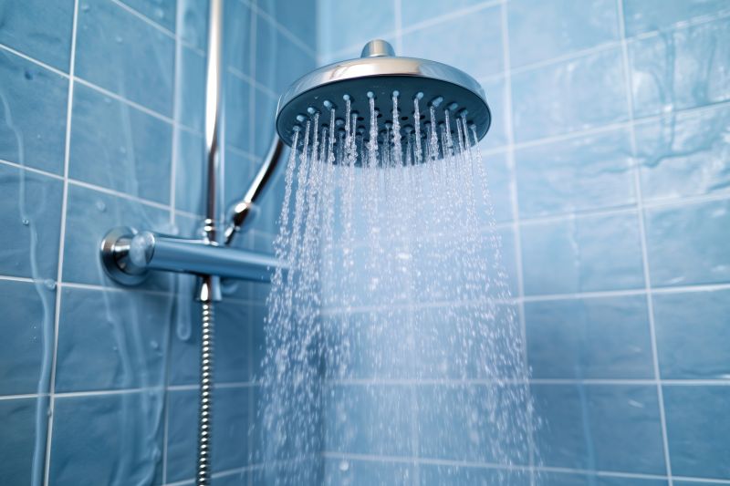 Rain Shower Head